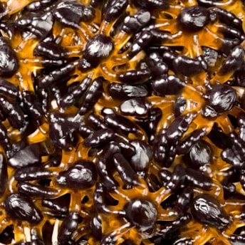 Balas De Gelatina Em Forma De Aranha Fini