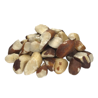 Castanha Do Pará Chipped Castanha Do Pará Chipped