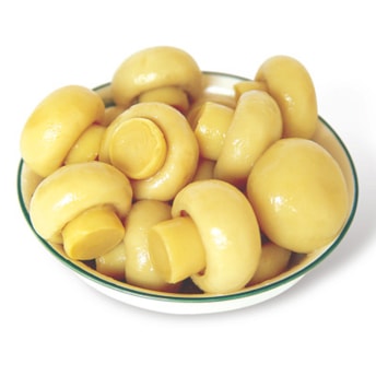 Cogumelo Champignon Cogumelo Champignon