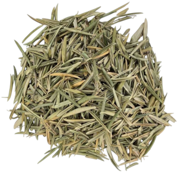 Folhas De Oliveira