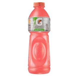 Isotônico Sabor Morango & Melancia Gatorade Pet 500ml Isotônico Sabor Morango & Melancia Gatorade Pet 500ml