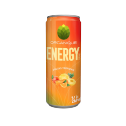 Organique Energy Drink Frutas Tropicais 269ml