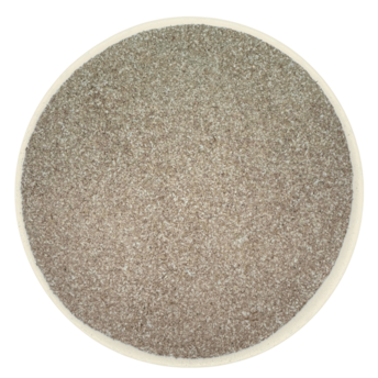 Psyllium