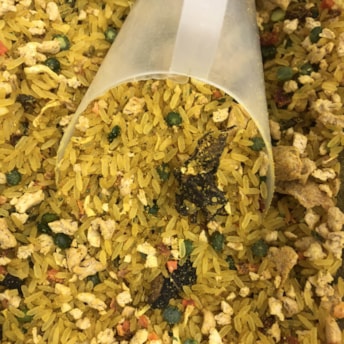 Risoto Funghi