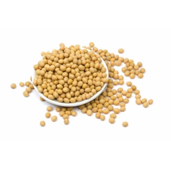 Soja Em Grão