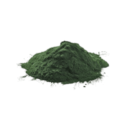Spirulina em Pó